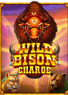 รีวิวสนุกๆ กับสูตร บา คา ร่า fifa55 ที่ไม่ควรพลาด